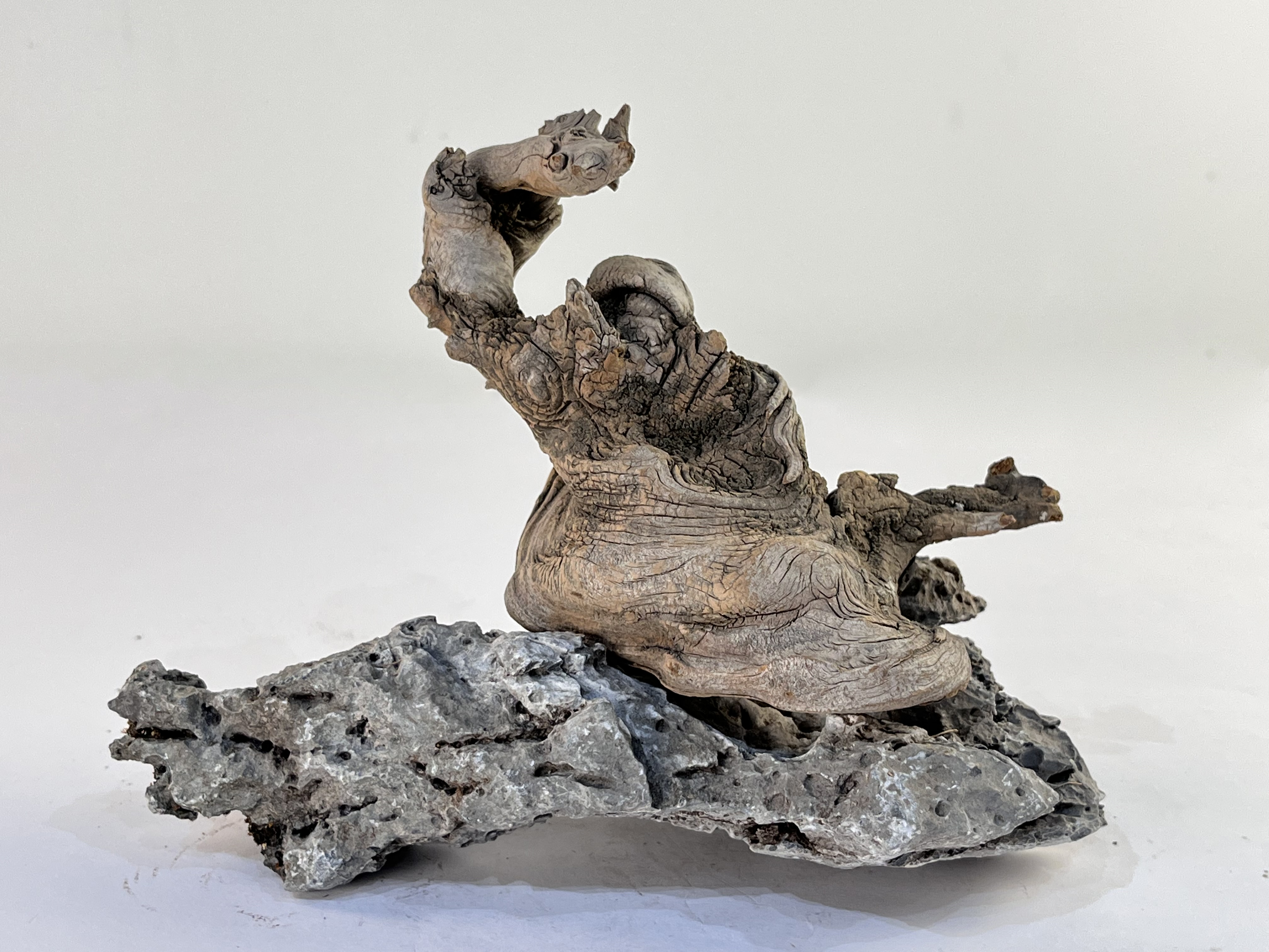 天然崖柏樹(shù)根（帶底座）