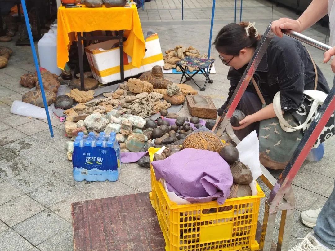廣州花地灣2023第三屆觀賞石博覽會圓滿落幕！