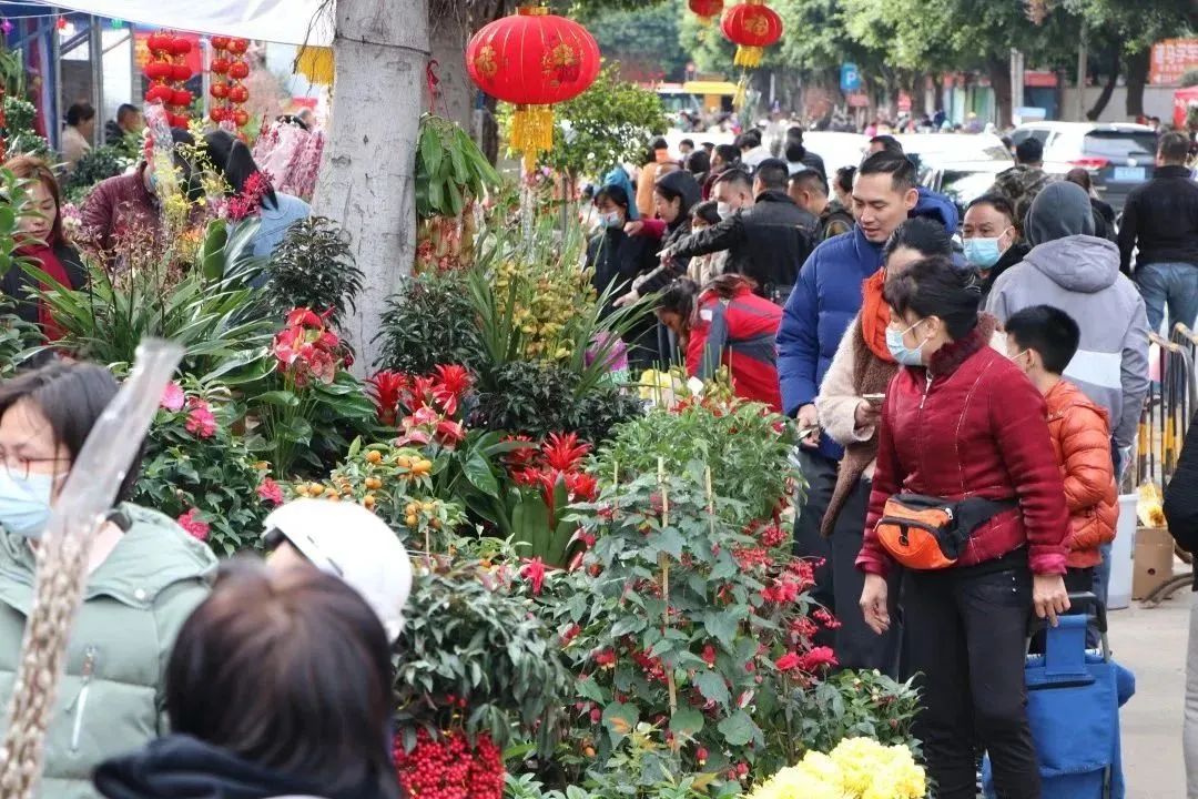 花市,花地灣古玩城,荔灣
